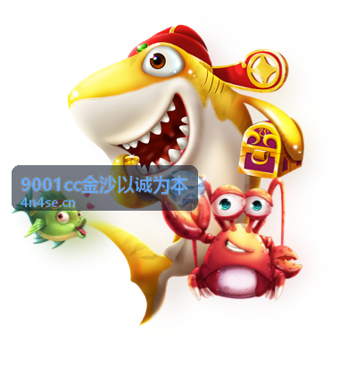 金沙认证案例复盘与服务回顾